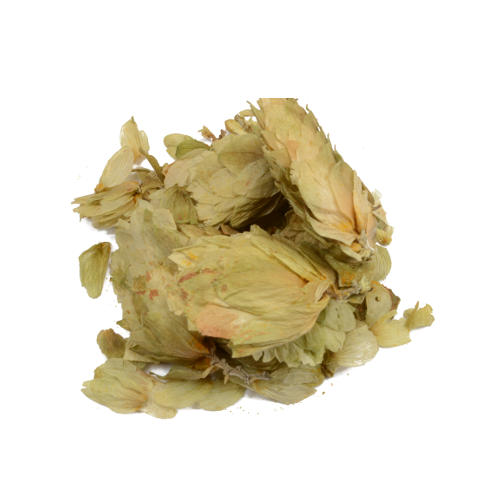 Hops 50 Gram Humulus Lupulus huismerk kopen in de aanbieding